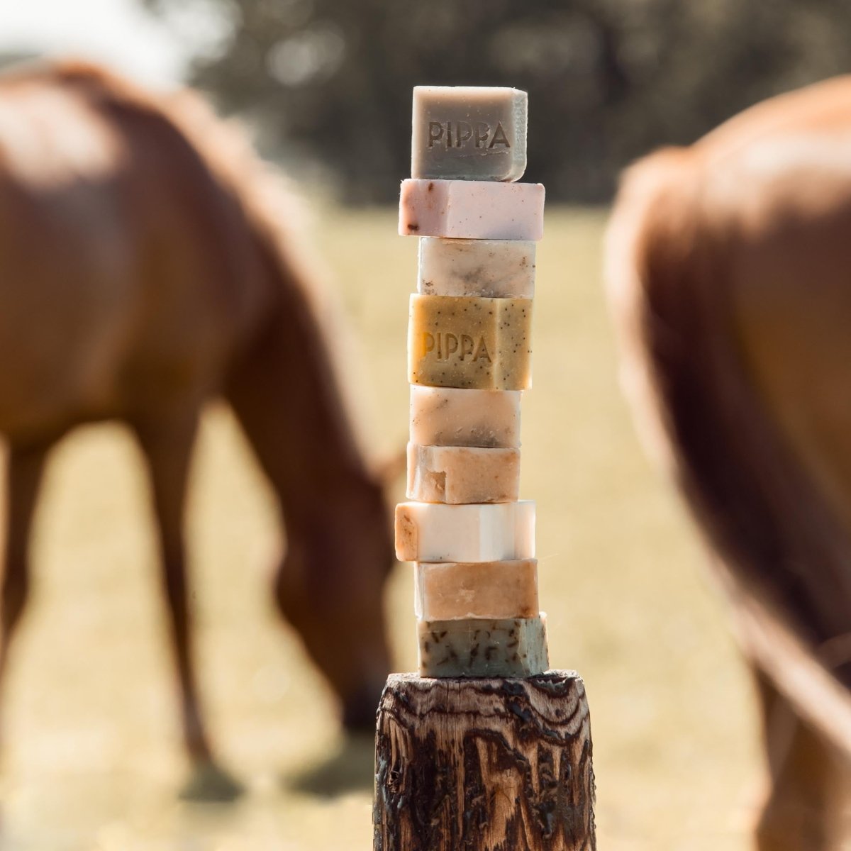 PIPPA Mini Shampoobar Cadeau - PIPPA Equestrian Soap - Shampoo en crèmespoeling voor huisdieren