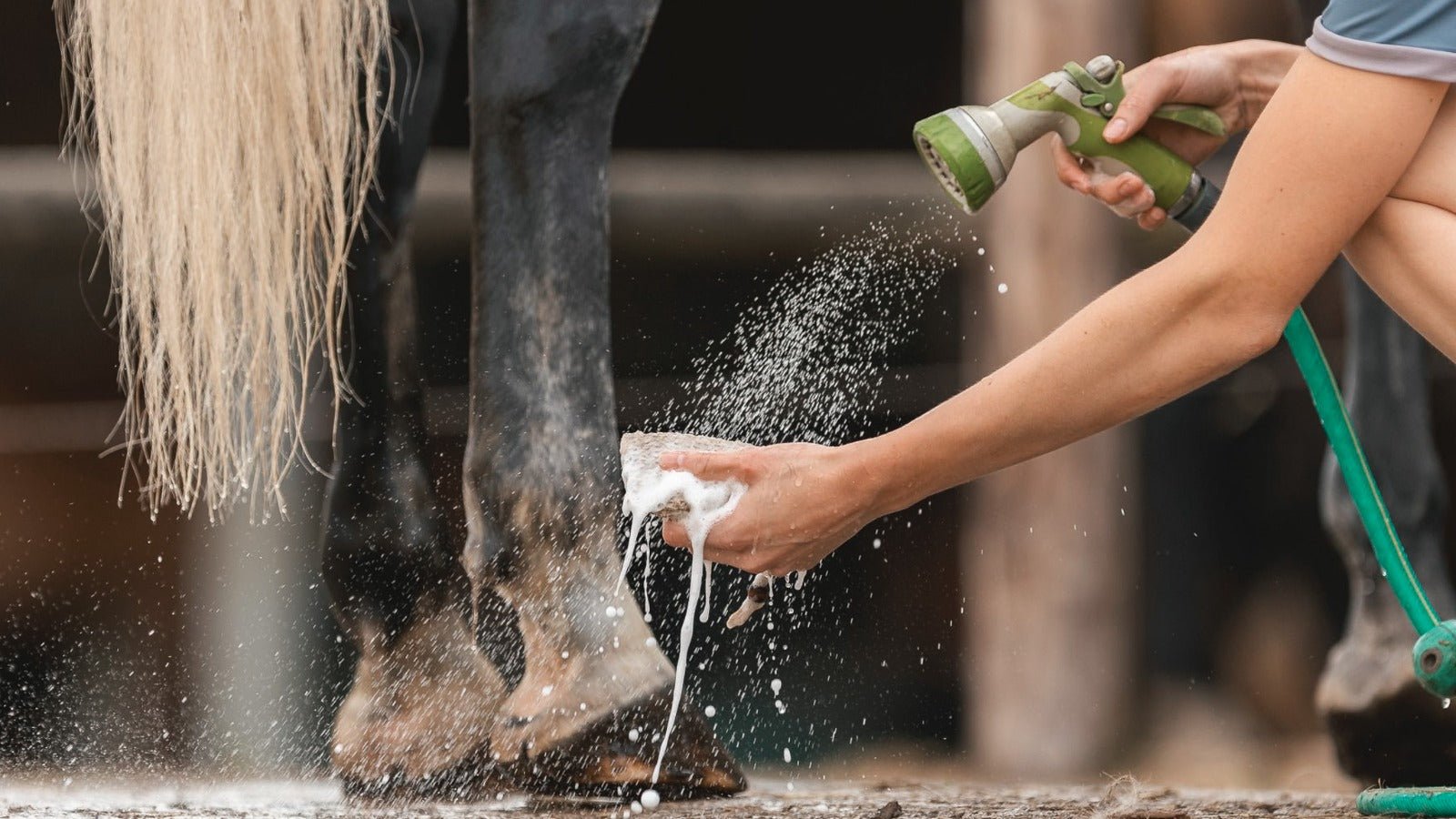 Paardenshampoo: Hoe was je een paard? - PIPPA Equestrian Soap