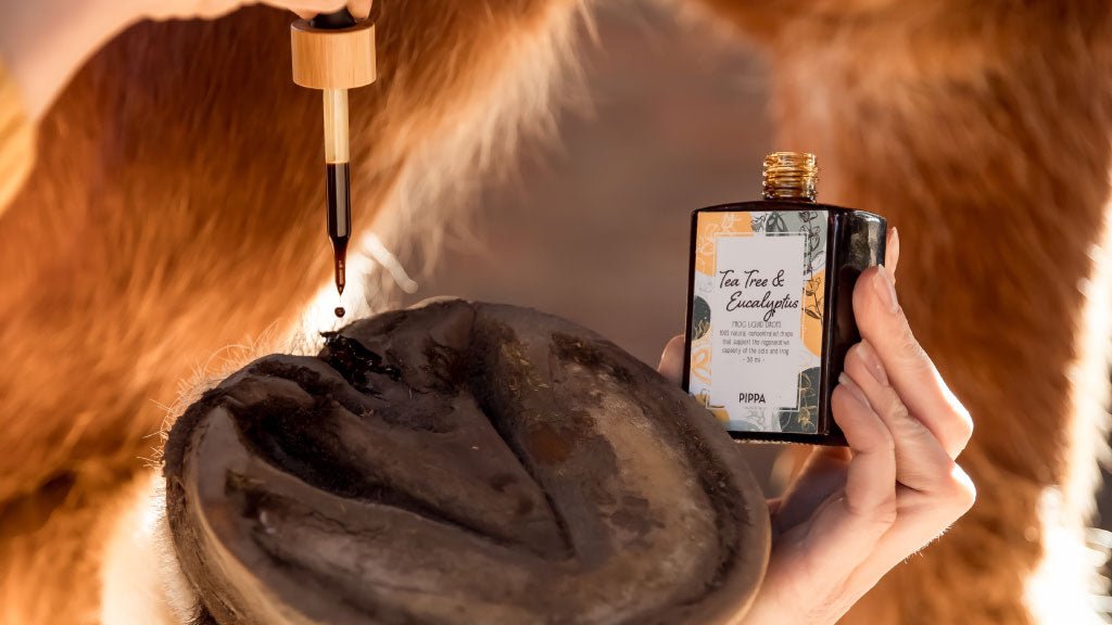 Hoefverzorging - PIPPA Equestrian Soap