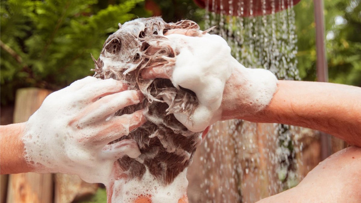 Shampoo Bars - PIPPA Equestrian Soap