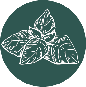 Basil.png