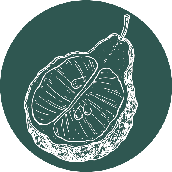 Bergamot.png