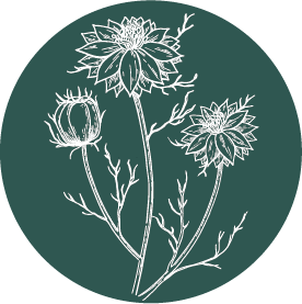 Korenbloem.png
