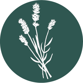 Lavendel.png