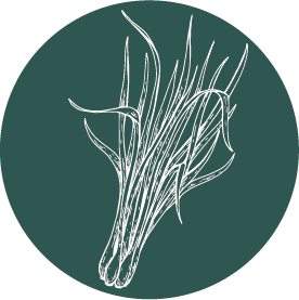 Lemongrass.png