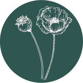 Poppy_Seed.png