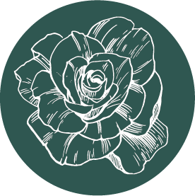 Rose.png