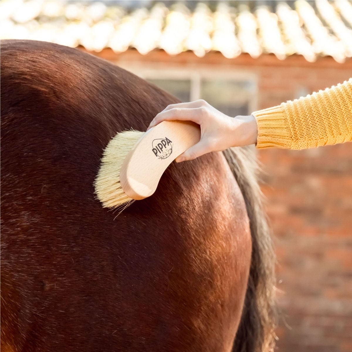 PIPPA Harde Flick Borstel - PIPPA Equestrian Soap - Borstels