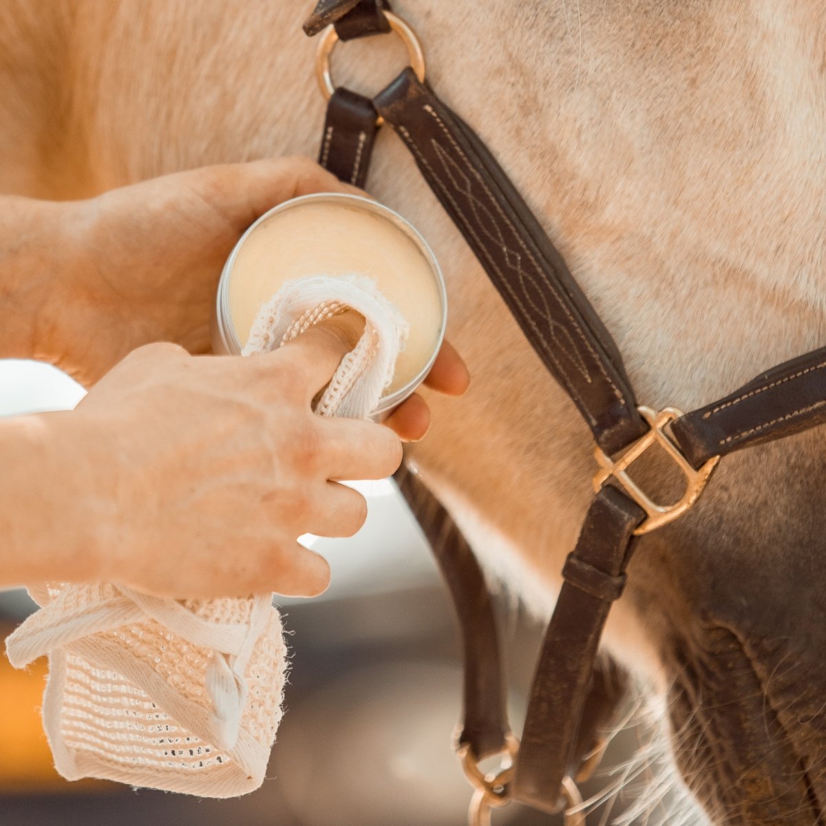 PIPPA Leather & Care Lederwax - PIPPA Equestrian Soap - Geneesmiddelen voor huisdieren
