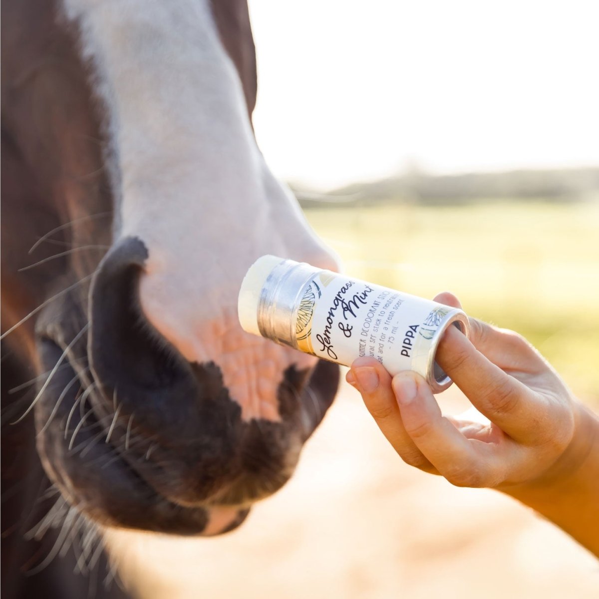 PIPPA Lemongrass & Mint SPF Summer Deodorant Stick - PIPPA Equestrian Soap - Vliegenspray